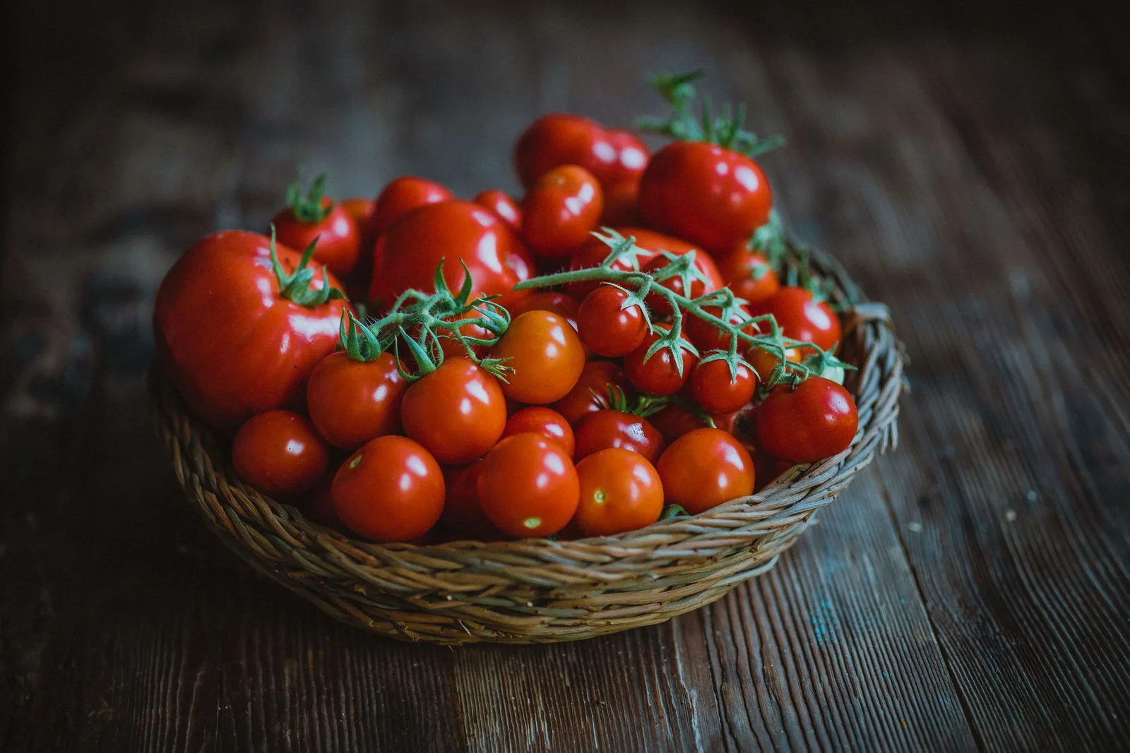 A wicker basket of ripe red tomatoes on the vine on a dark wooden table