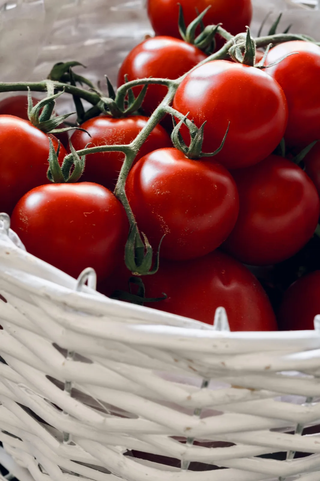 Red tomatoes on the vine in a white wicker basket